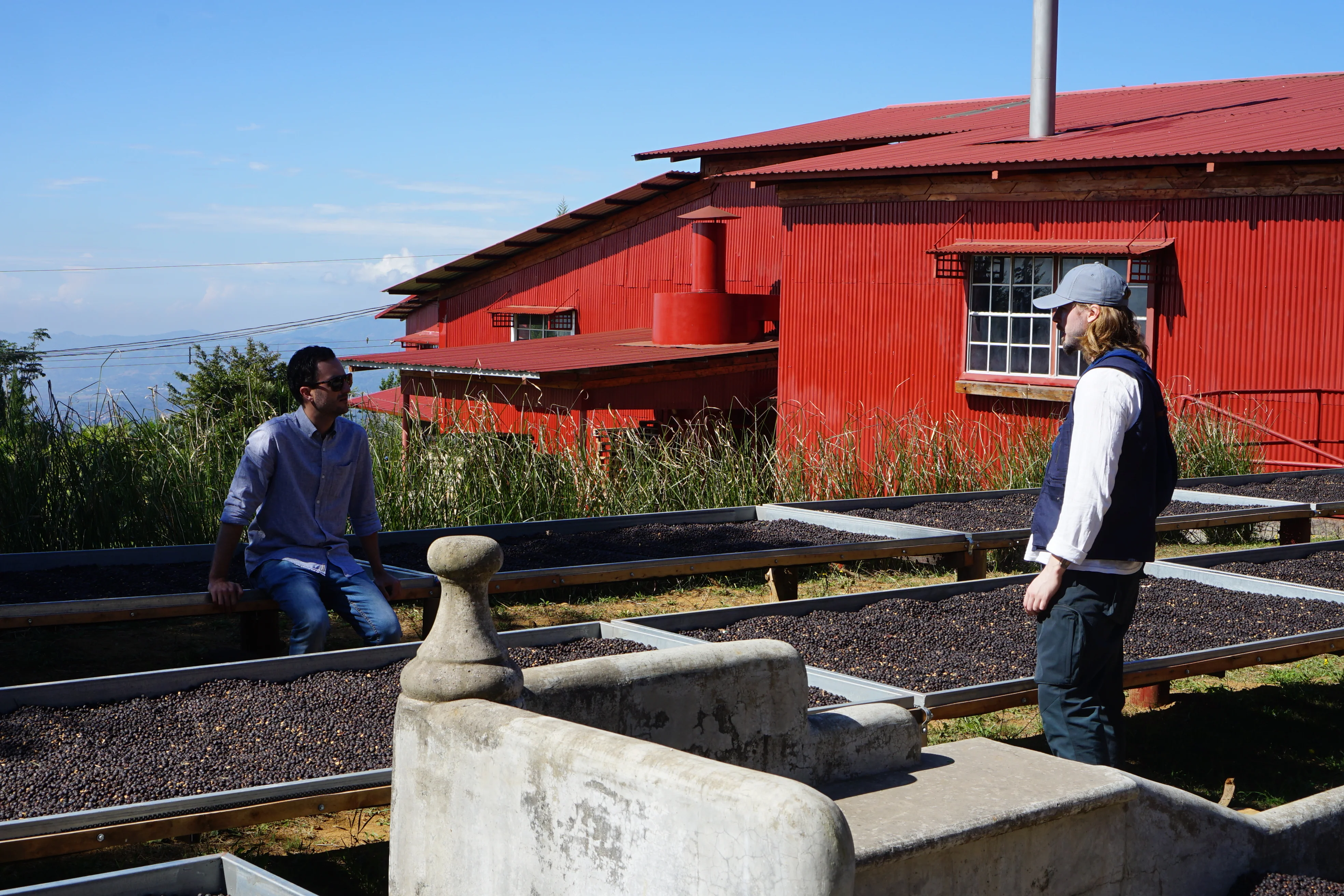 Sustainable Profile Coffee - Costa Rica - Image 5
