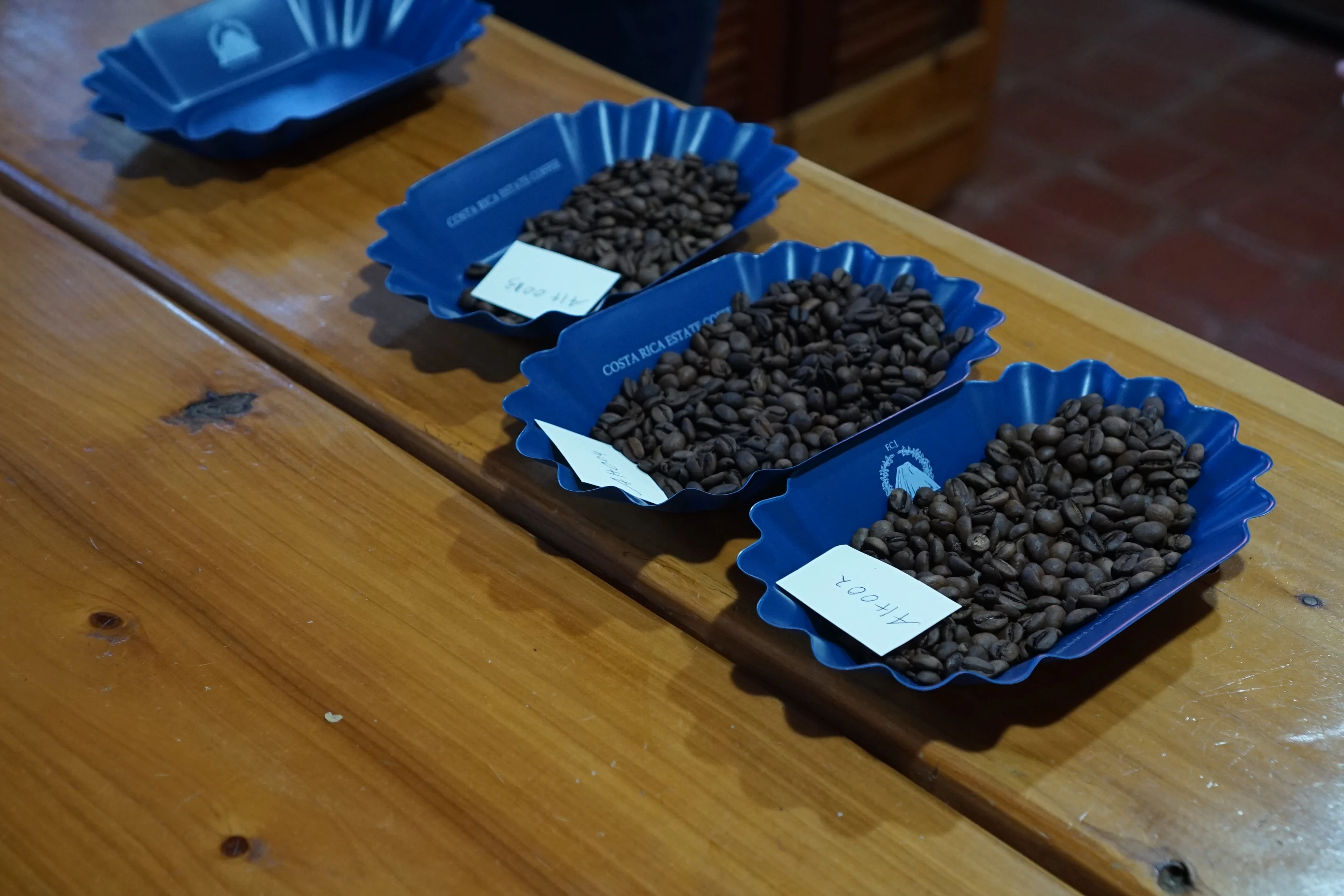 Sustainable Profile Coffee - Costa Rica - Image 7
